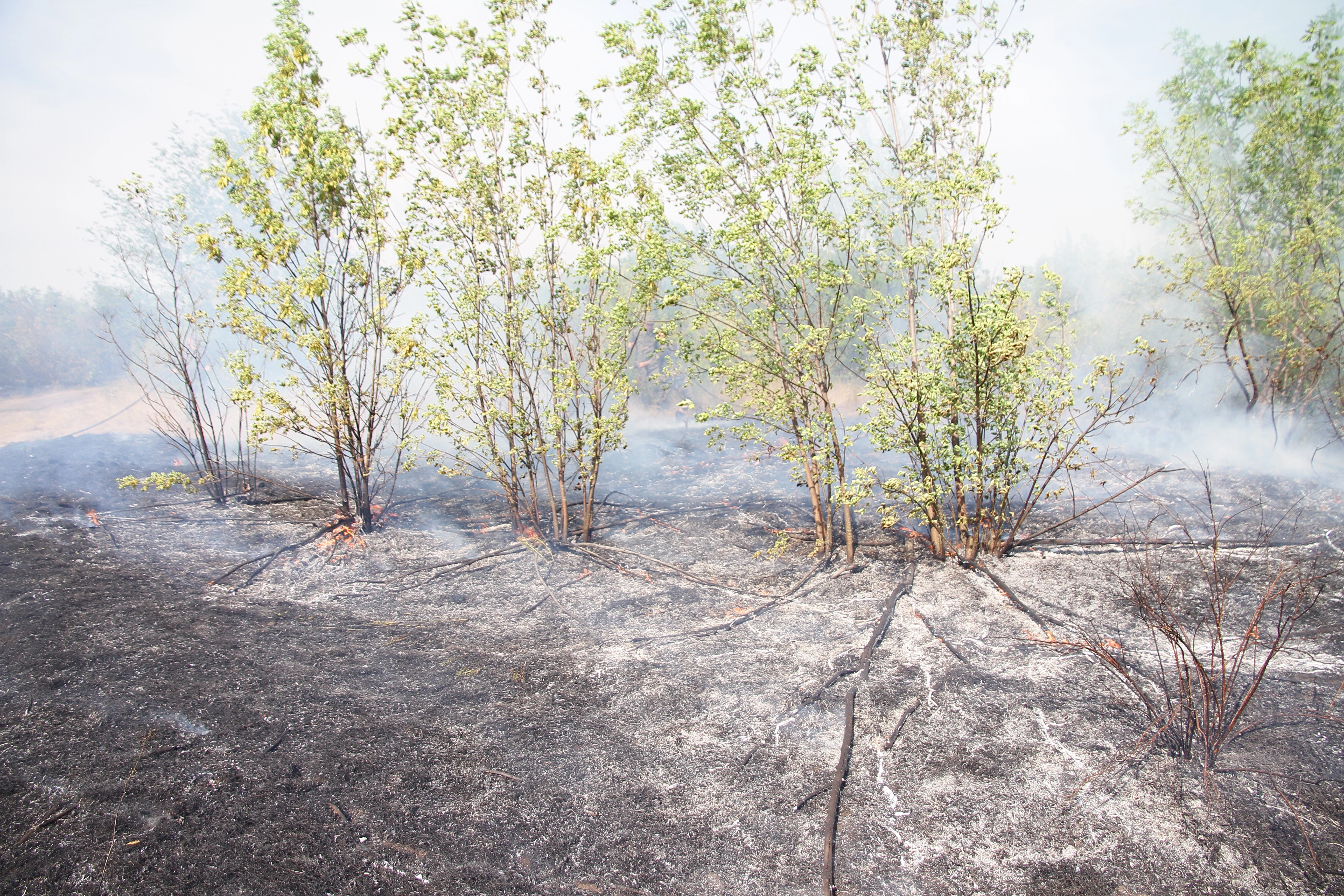 Штормовое предупреждение объявлено на западе Казахстана 23 августа